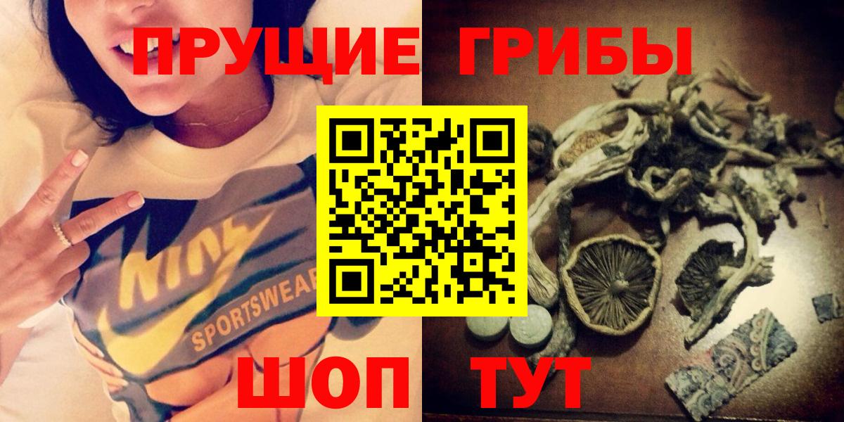Псилоцибиновые грибы мицелий  Вход с VPN  Псилоцибиновые грибы мицелий  Михайловск 